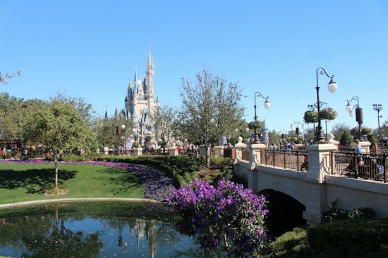 Central Florida Wish-Trip Charity Shuts Down, Leaves Families Chasing $6,383 in Costs