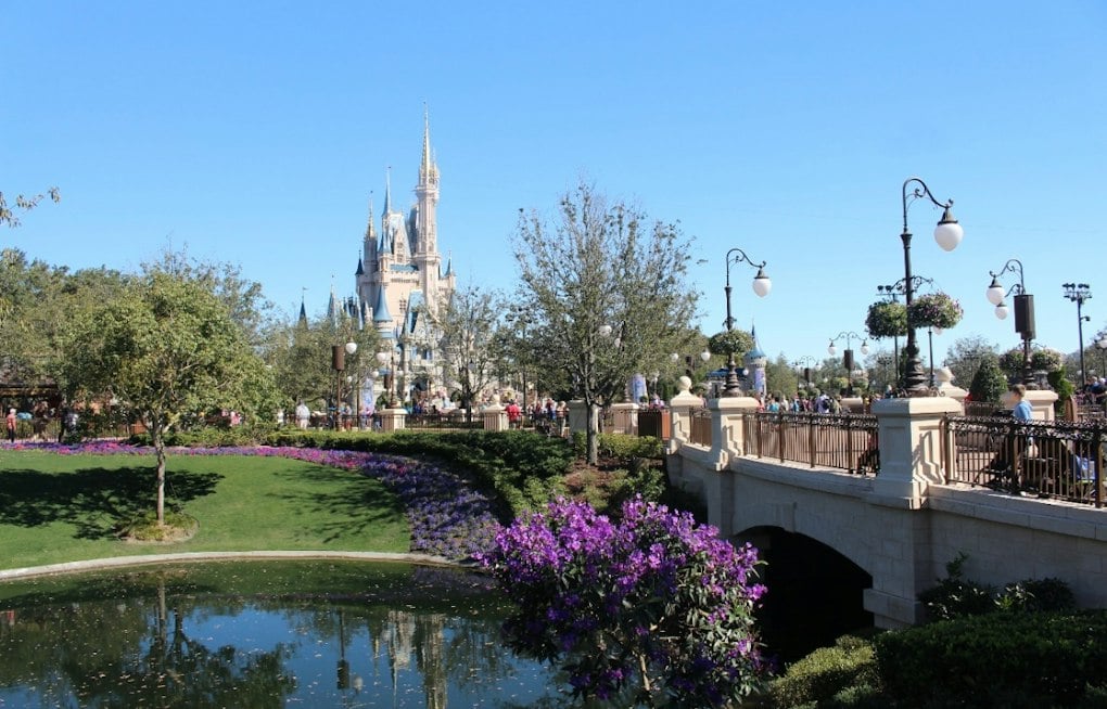 Central Florida Wish-Trip Charity Shuts Down, Leaves Families Chasing $6,383 in Costs