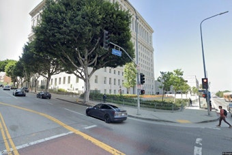 Chatsworth Farrier Unable to See Out of One Eye After Party Gunfire Ricochets Into Skull