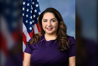 Chicago Rep. Ramirez Unveils Plan to Abolish ICE, Dismantle DHS Entirely