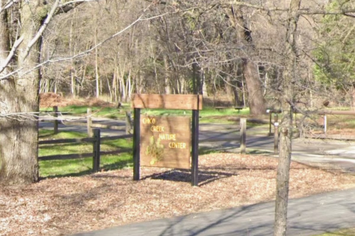 Chico's 22nd Touch of Wellness Fair Brings Two Stages, 35 Healers to Bidwell Park