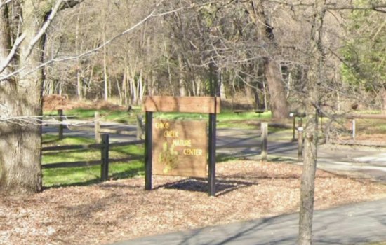 Chico's 22nd Touch of Wellness Fair Brings Two Stages, 35 Healers to Bidwell Park