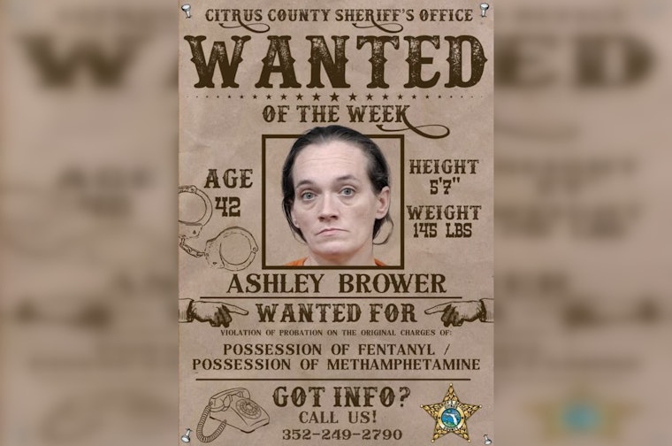 Citrus County Deputies Hunt 42-Year-Old Woman Tied to 2016 Stabbing Case