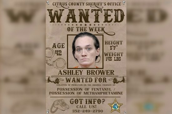 Citrus County Deputies Hunt 42-Year-Old Woman Tied to 2016 Stabbing Case