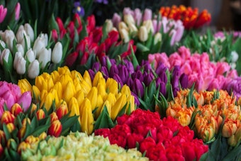 CJ Hendry's Flower Market Blooms Again at Rockefeller Center for 4 Days