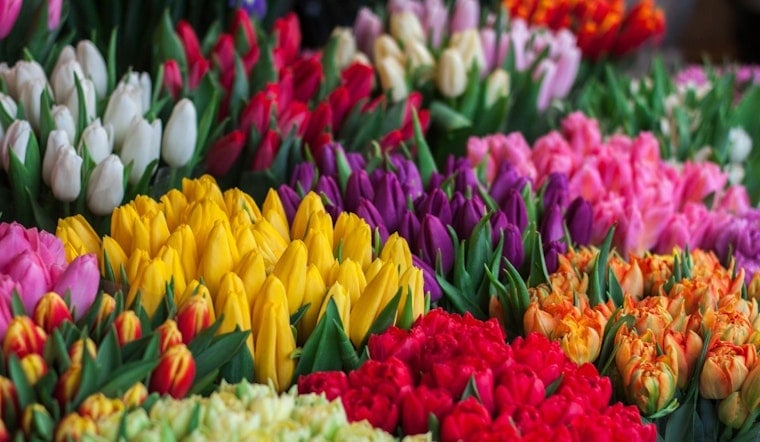CJ Hendry's Flower Market Blooms Again at Rockefeller Center for 4 Days