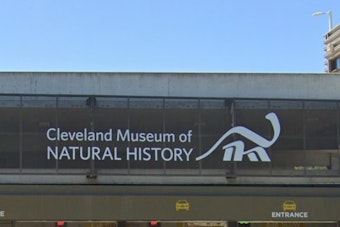 Cleveland Museum Sends Kent State Bird-Inspired Fashion Down the Runway Oct. 2