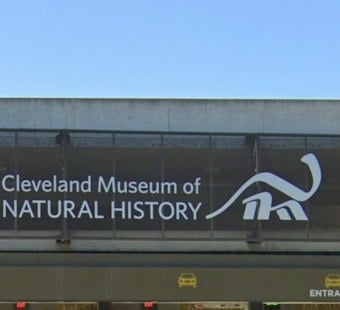 Cleveland Museum Sends Kent State Bird-Inspired Fashion Down the Runway Oct. 2