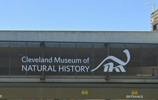 Cleveland Museum Sends Kent State Bird-Inspired Fashion Down the Runway Oct. 2