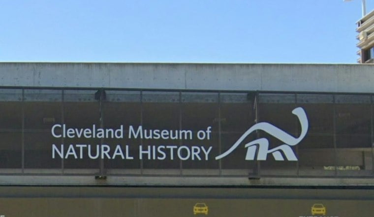 Cleveland Museum Sends Kent State Bird-Inspired Fashion Down the Runway Oct. 2