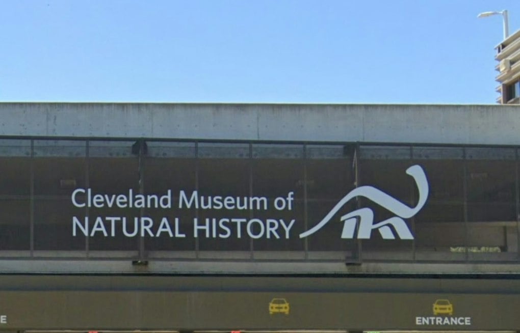 Cleveland Museum Sends Kent State Bird-Inspired Fashion Down the Runway Oct. 2