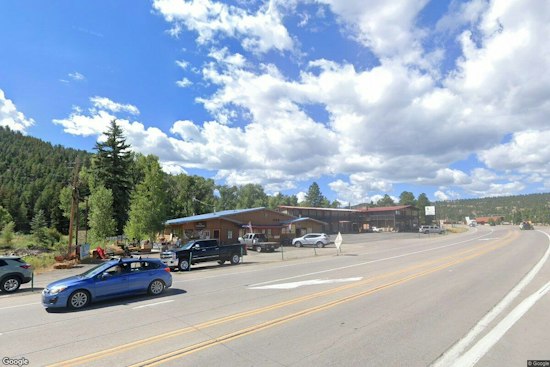 Colorado Bears Attack Teen in Durango Condo, Woman at Rio Grande Campsite