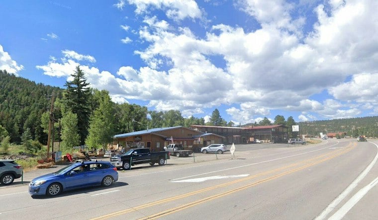 Colorado Bears Attack Teen in Durango Condo, Woman at Rio Grande Campsite