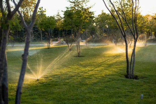 Colorado Springs Is Growing, but Its Water Demand Is Falling