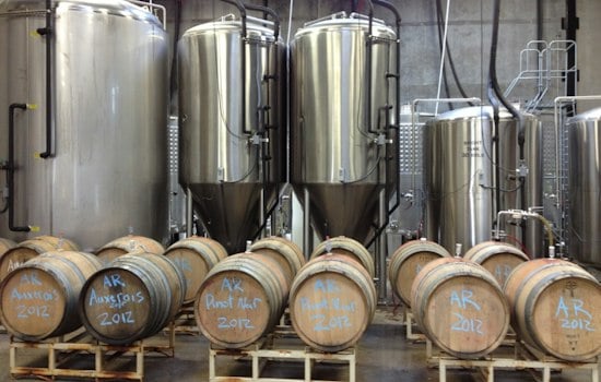 Corvallis Cidery Throws 16th Harvest Party, Feeds Oregon Food Bank