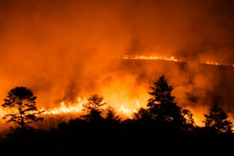 Creek Fire Ignites on Siskiyou County Private Land, Cause Still Unknown