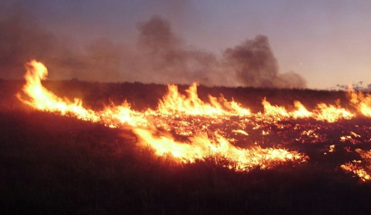 Crews Battle Quarter-Acre Brush Fire in San Diego Canyon Near Streamview Drive