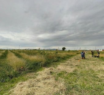Cross E Ranch Owners Pitch Housing on 65 Acres to Save Salt Lake Farm