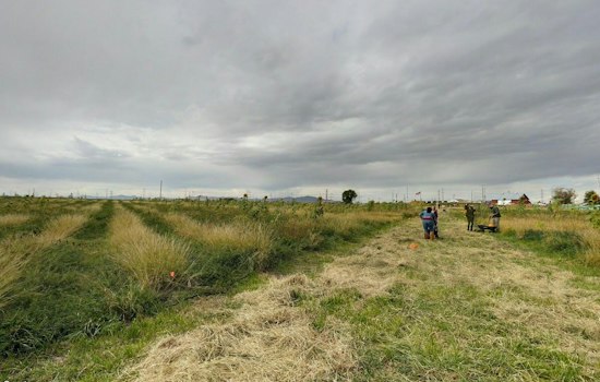 Cross E Ranch Owners Pitch Housing on 65 Acres to Save Salt Lake Farm
