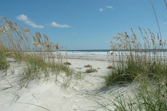 Cumberland Island Land Swap Could Bring Mansions to Georgia's Wild Beaches