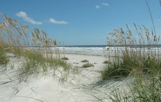 Cumberland Island Land Swap Could Bring Mansions to Georgia's Wild Beaches