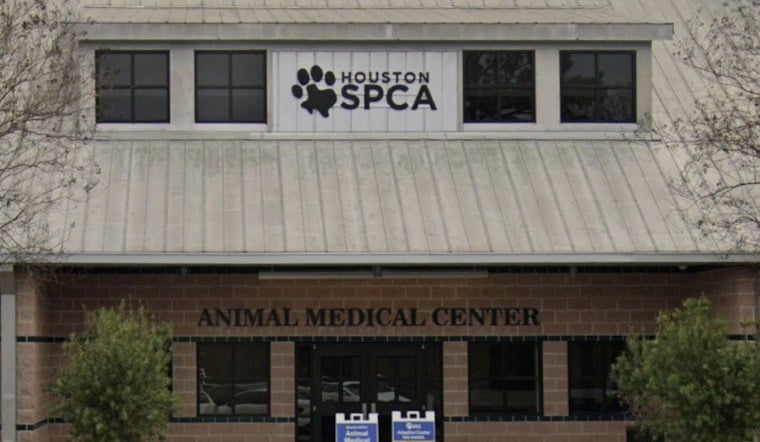 Cypress Garage Rescue Frees 19 Animals, Including French Bulldogs and a Gator