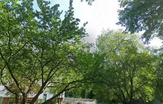 D.C. Sizzles, Then Drizzles: 80s Heat Before Rainy Weekend Returns
