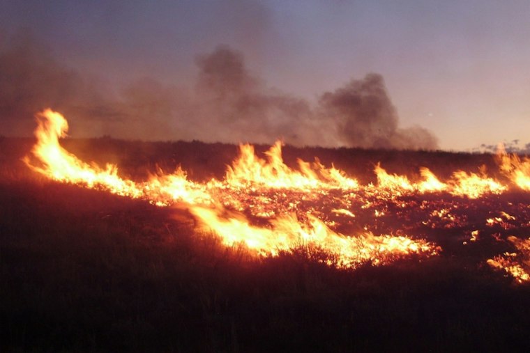 Dadd Gulch Fire Sparks Evacuations Near Bellvue, Estimated at Quarter Acre
