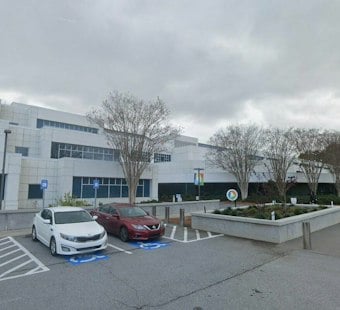 Decatur Woman Sentenced After $158K Strawberry Seed Email Scam Hits Georgia Farm