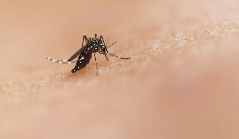 Delaware County Investigates Three Probable West Nile Virus Cases