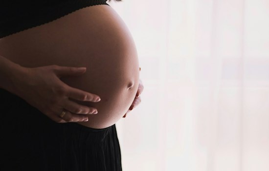 Delco Launches Doula Directory With 21 Names to Fill Crozer's Maternal Care Void