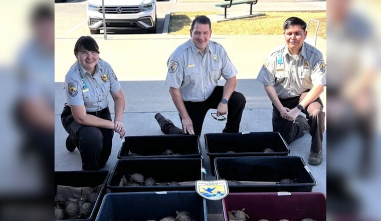 Denton FedEx Store Stops Attempted Shipment of 191 Turtles Bound for China