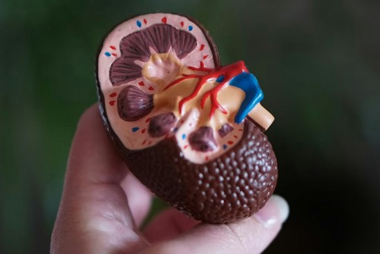 Denver Woman's 3-Year Kidney Wait Ends With Gift From Coworker's Nephew