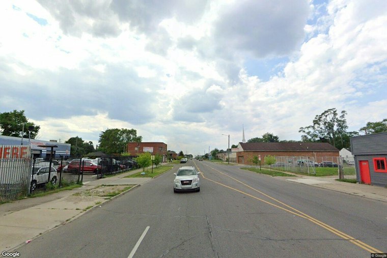 Detroit Dog Electrocuted After Downed DTE Wire Sat in Yard 36 Hours