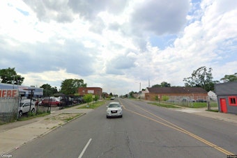 Detroit Dog Electrocuted After Downed DTE Wire Sat in Yard 36 Hours