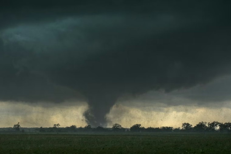 Detroit Tornado Damaged 101 Properties, Officials Say as Cleanup Drags On