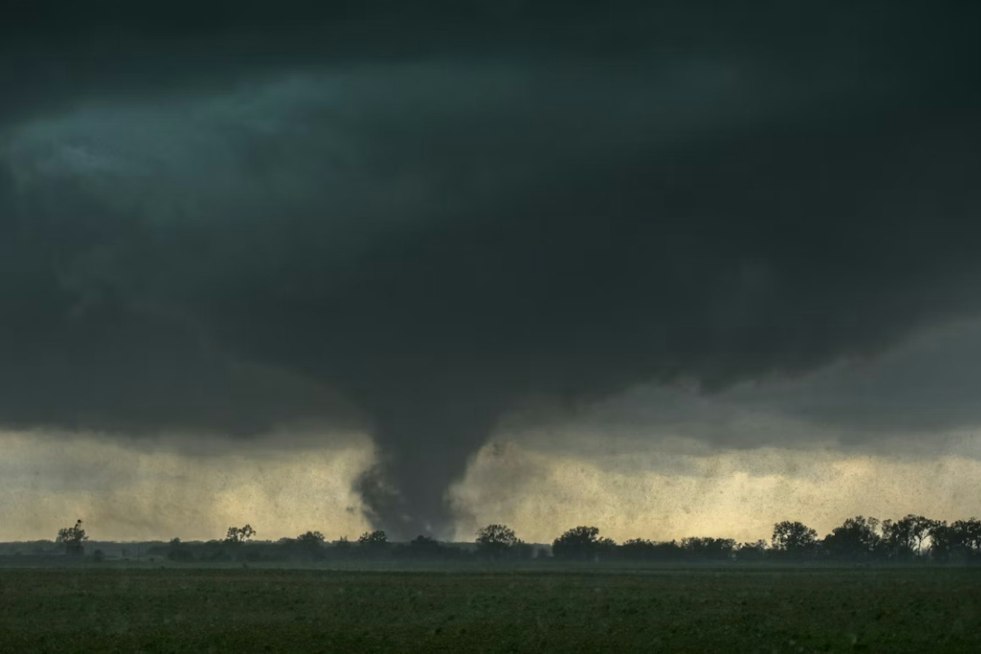 Detroit Tornado Damaged 101 Properties, Officials Say as Cleanup Drags On