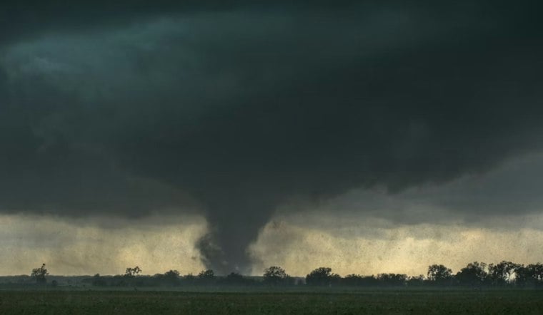 Detroit Tornado Damaged 101 Properties, Officials Say as Cleanup Drags On