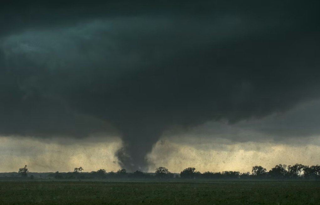 Detroit Tornado Damaged 101 Properties, Officials Say as Cleanup Drags On