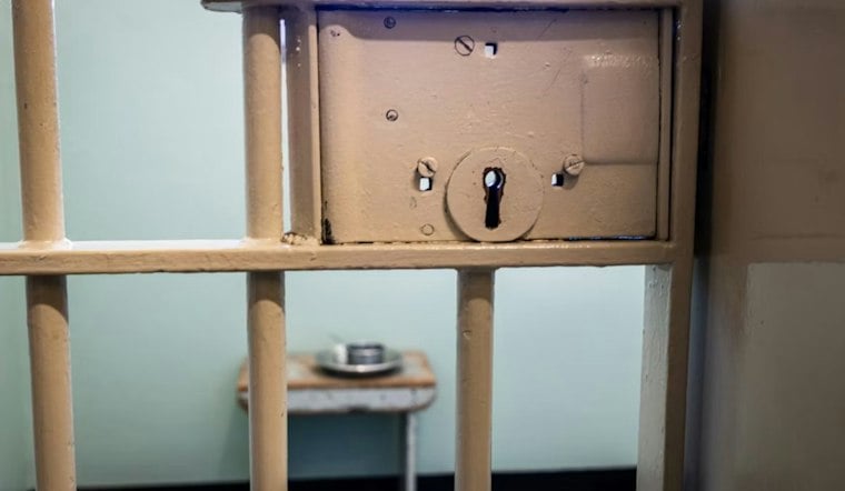 Detroit Woman Gets 3 Years For Stabbing Dog Live On Facebook, Second Case Stalls