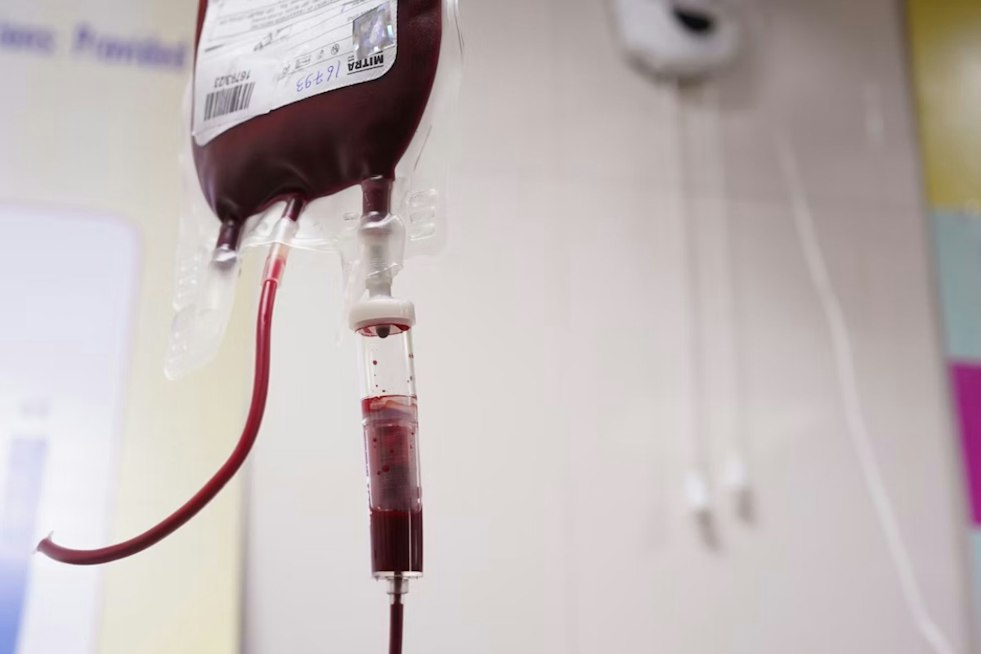 Donate Blood, Score Howl-O-Scream Tickets — San Diego Blood Bank Needs 10,000 Donors