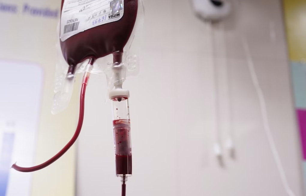 Donate Blood, Score Howl-O-Scream Tickets — San Diego Blood Bank Needs 10,000 Donors