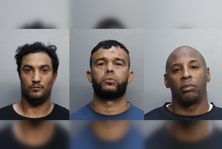 Doral Burglary Ring Busted After Suspect Rams Deputy With Minivan, Police Say
