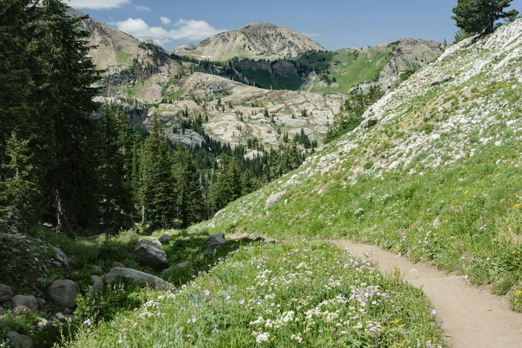 Draper Cancer Survivor, 50, Finishes Wasatch 100; Sons Also Complete Race