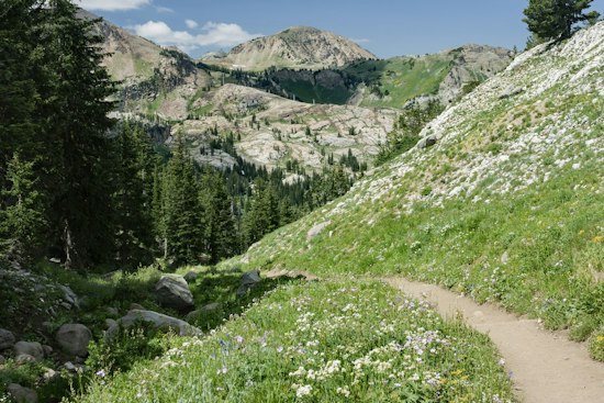 Draper Cancer Survivor, 50, Finishes Wasatch 100; Sons Also Complete Race