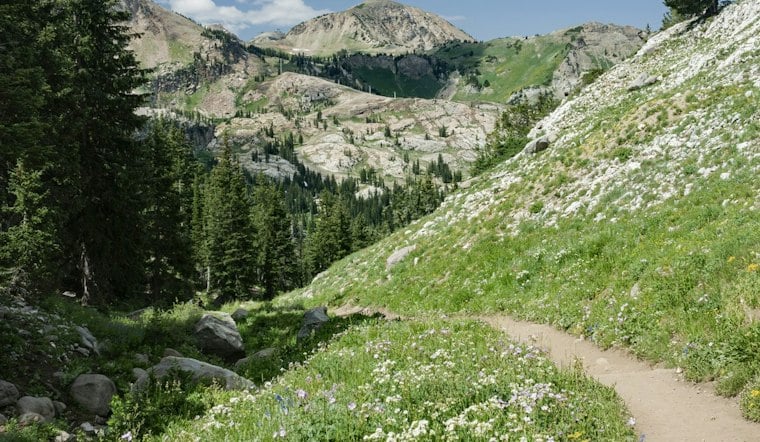 Draper Cancer Survivor, 50, Finishes Wasatch 100; Sons Also Complete Race