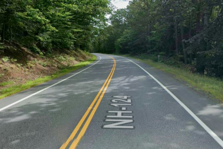 Dumped NH Pig Was Named Princess, Had Gunshot Wound, Neighbors Say
