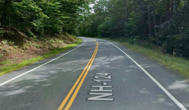 Dumped NH Pig Was Named Princess, Had Gunshot Wound, Neighbors Say