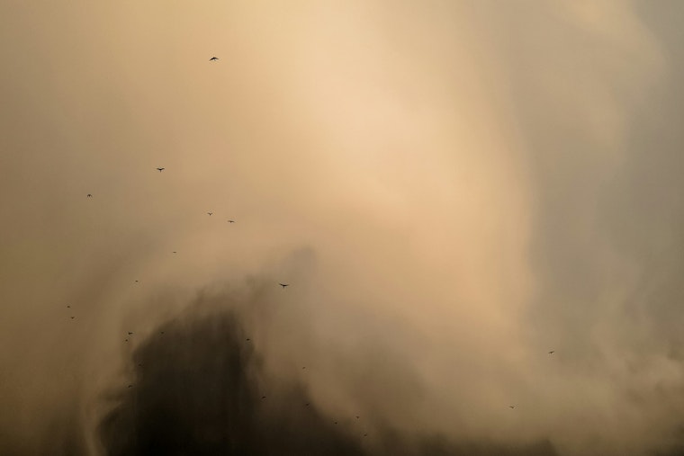 Dust Devil Spins Through Covington Cornfield as Mid-South Heat Wave Bakes Tipton County
