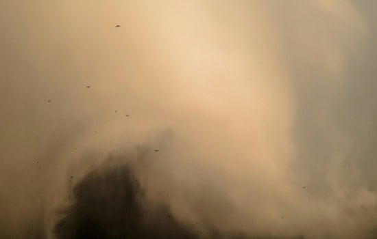 Dust Devil Spins Through Covington Cornfield as Mid-South Heat Wave Bakes Tipton County